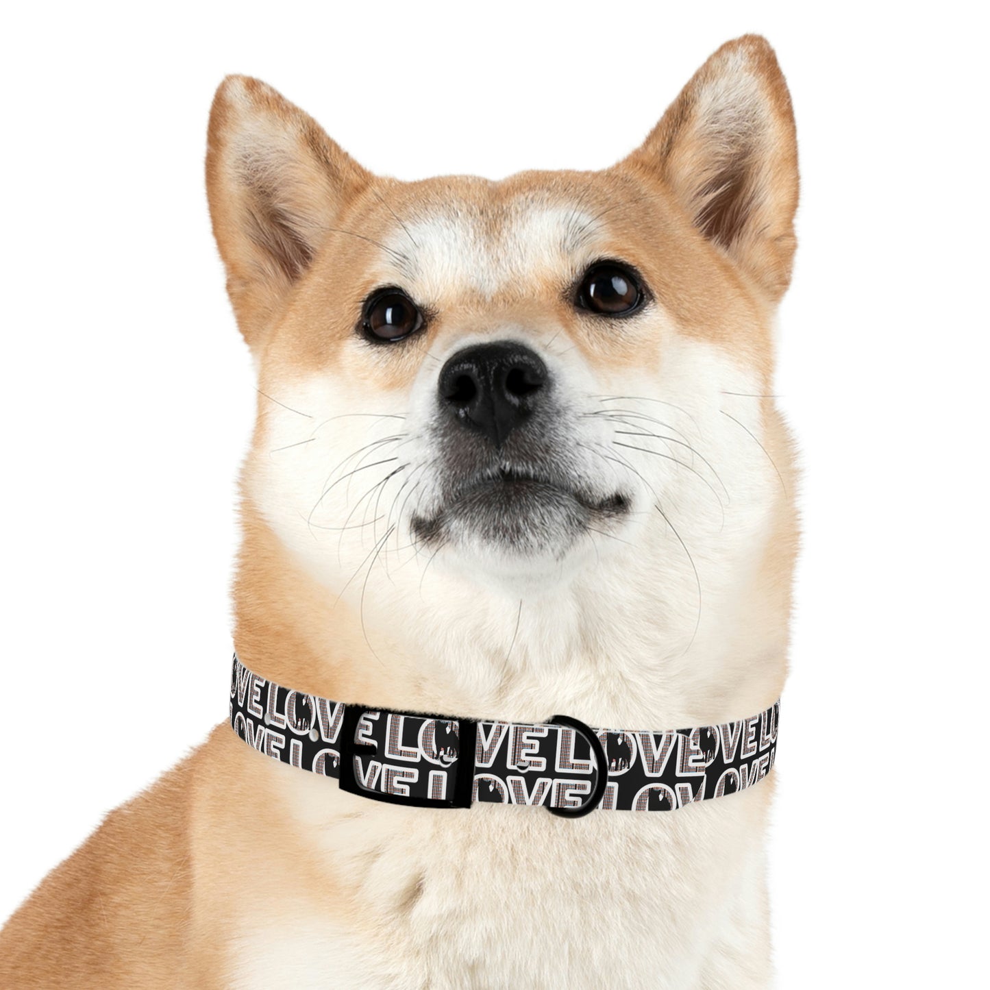 Shiba Inu Dog Collars with 'Love and Shiba Design' - Personalized, Hypoallergenic and USA Made! -  Shiba Inu  Gift Dog Collar